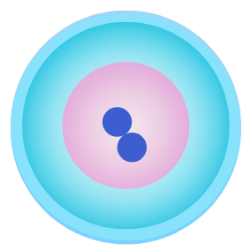 脂肪由来幹細胞培養上清液