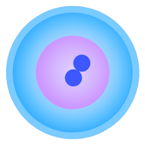 歯髄由来幹細胞培養上清液