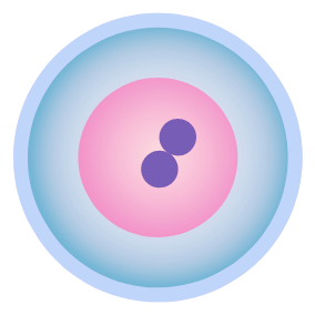 臍帯由来幹細胞培養上清液